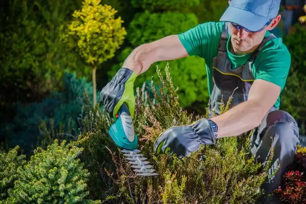 landscaping services Walbridge
